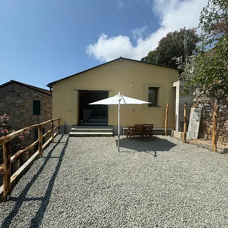 Tuvo * Levanto