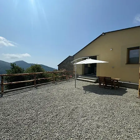 Tuvo Levanto