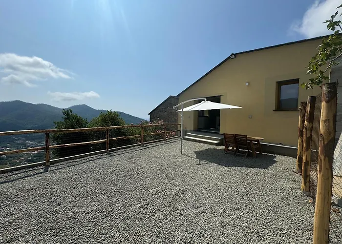 Tuvo Levanto